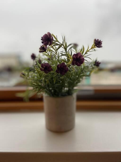 Vera'S Penthouse Wexford Esterno foto